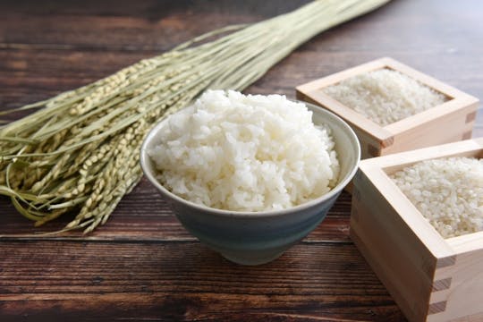 ご飯で摂れるタンパク質はどのくらい？効率良く摂取する方法もご紹介