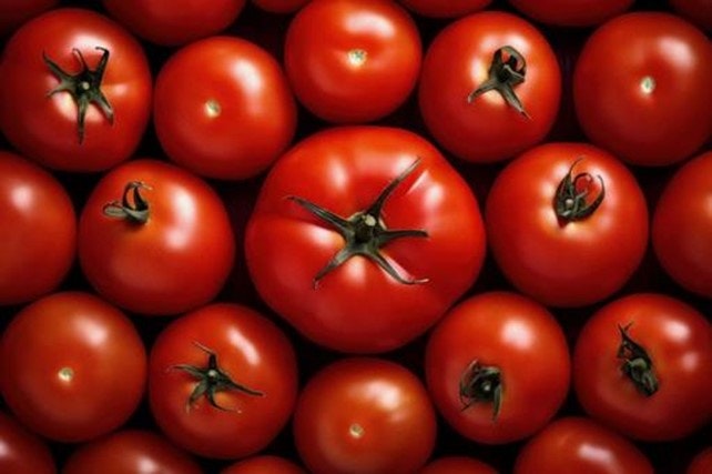 トマトに含まれる栄養素とそのはたらきは？選び方のポイントも紹介