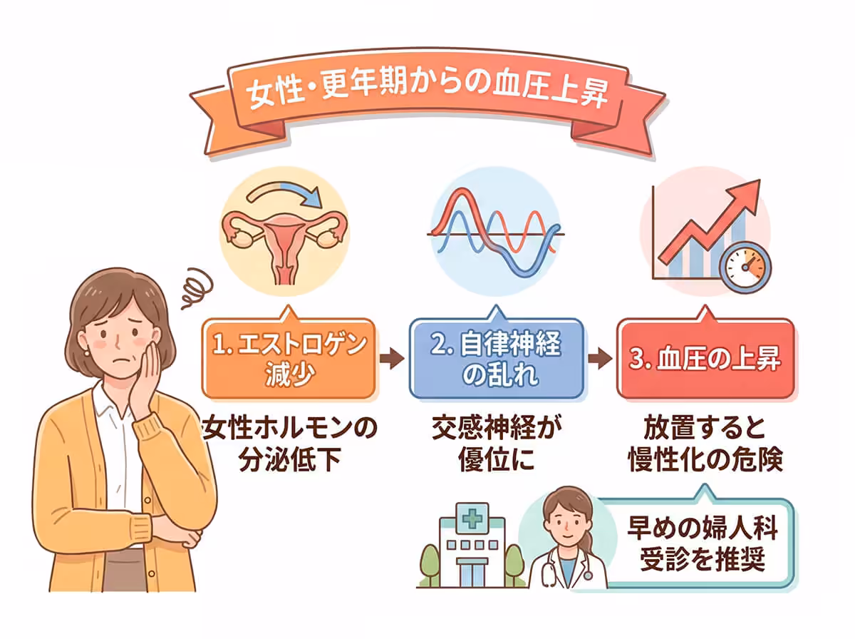 女性・更年期からの血圧上昇