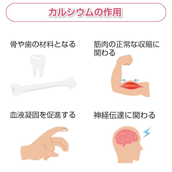 カルシウムの作用