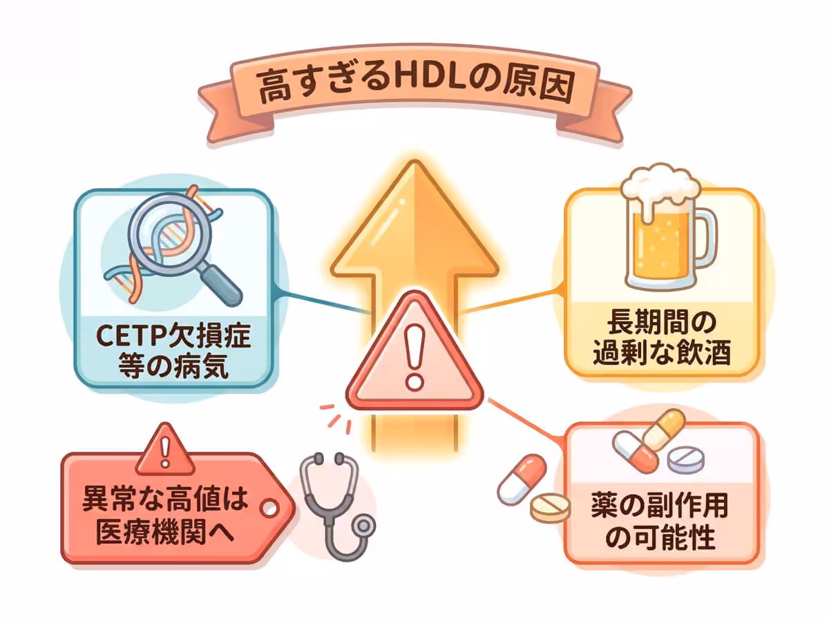 高すぎるHDLの原因