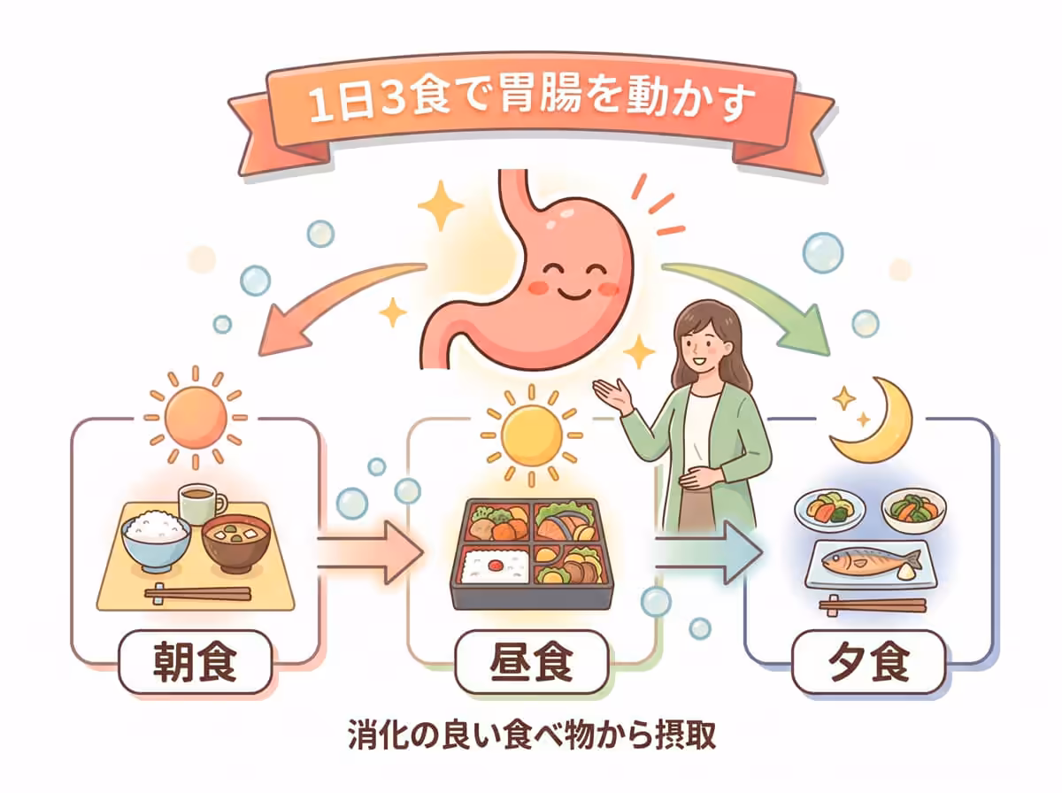 1日3食で胃腸を動かす
