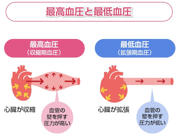 「最高血圧」と「最低血圧」の図