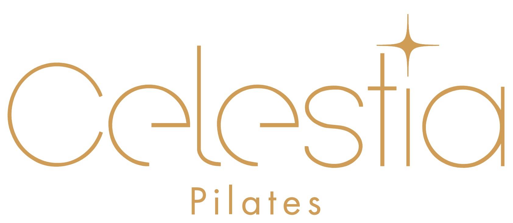 ザ パーソナルジム (THE PERSONAL GYM)