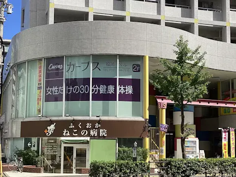 カーブス 福岡べふ店の写真2