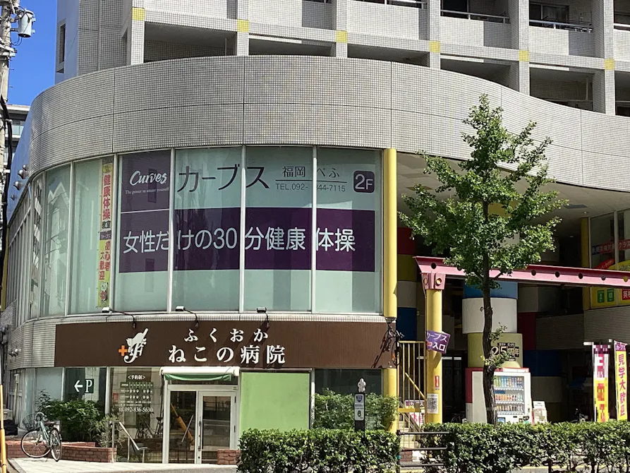 カーブス 福岡べふ店の画像
