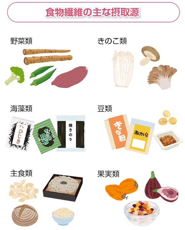 食物繊維の主な摂取源