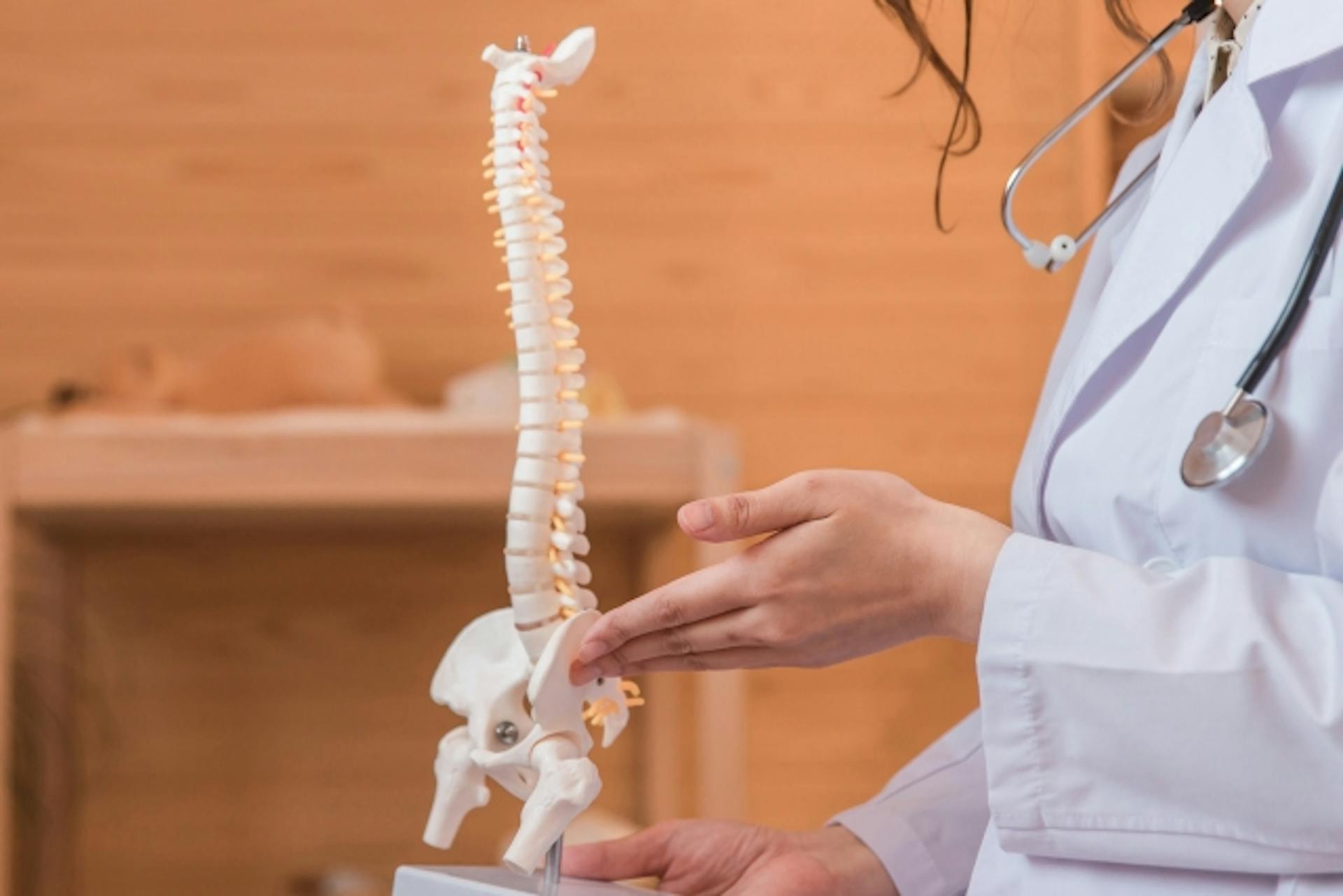 骨粗しょう症の原因は？骨の健康を保つためのポイントを解説のサムネイル