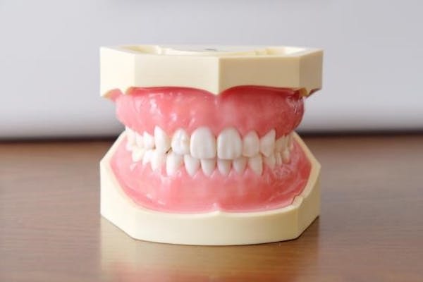歯の健康を維持する