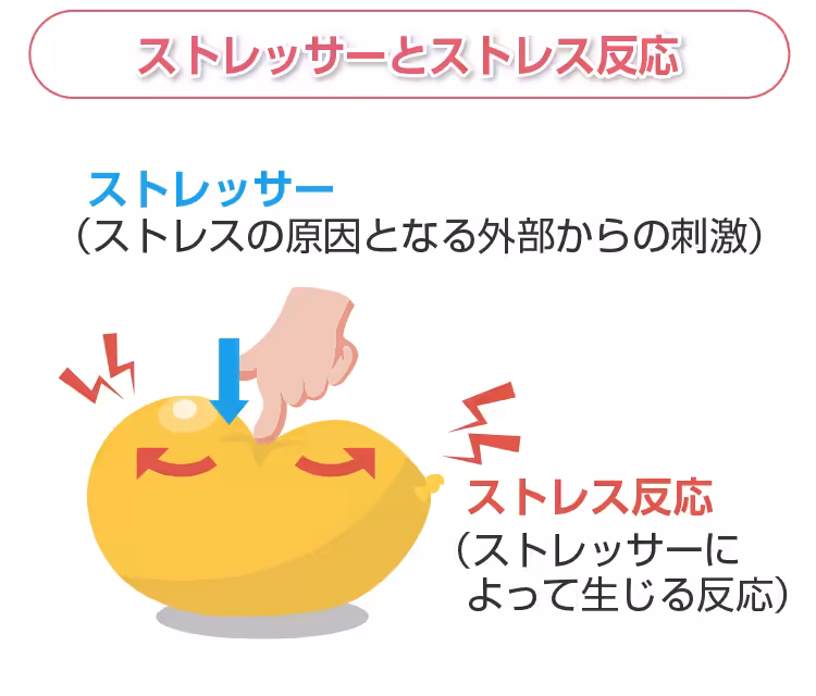 ストレッサーとストレス反応