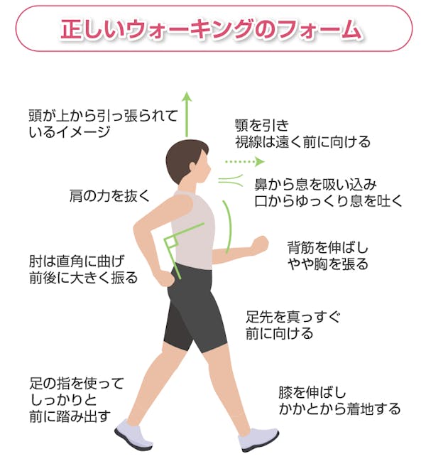 正しいウォーキングのフォーム