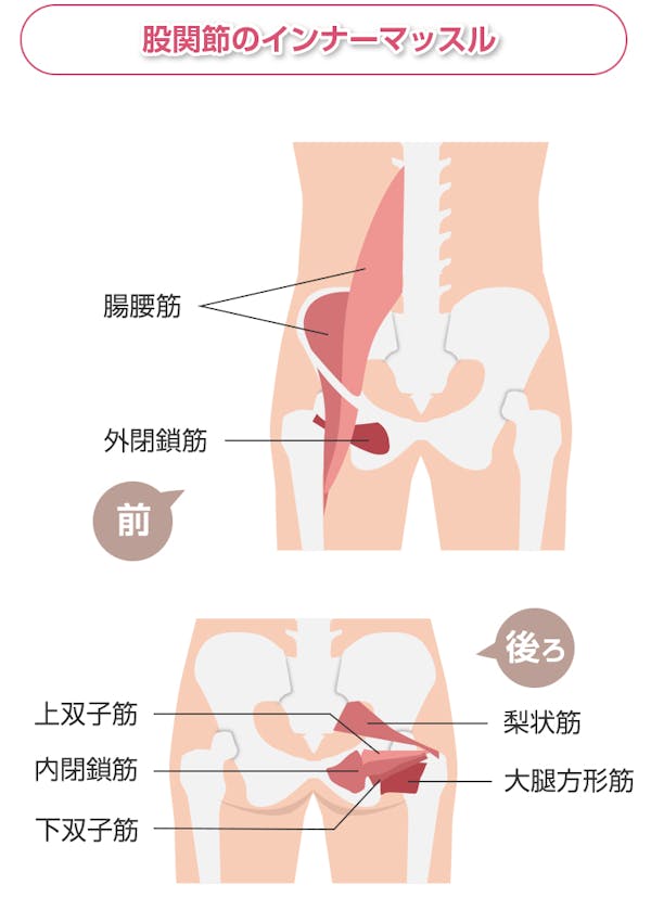 股関節のインナーマッスル