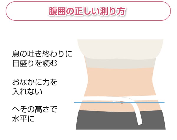 腹囲の正しい測り方解説図