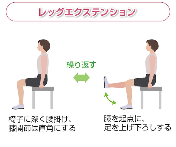 レッグ・エクステンション