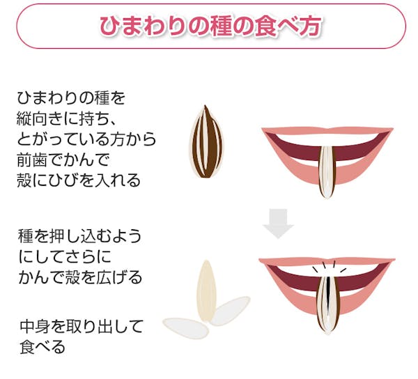ひまわりの種の食べ方