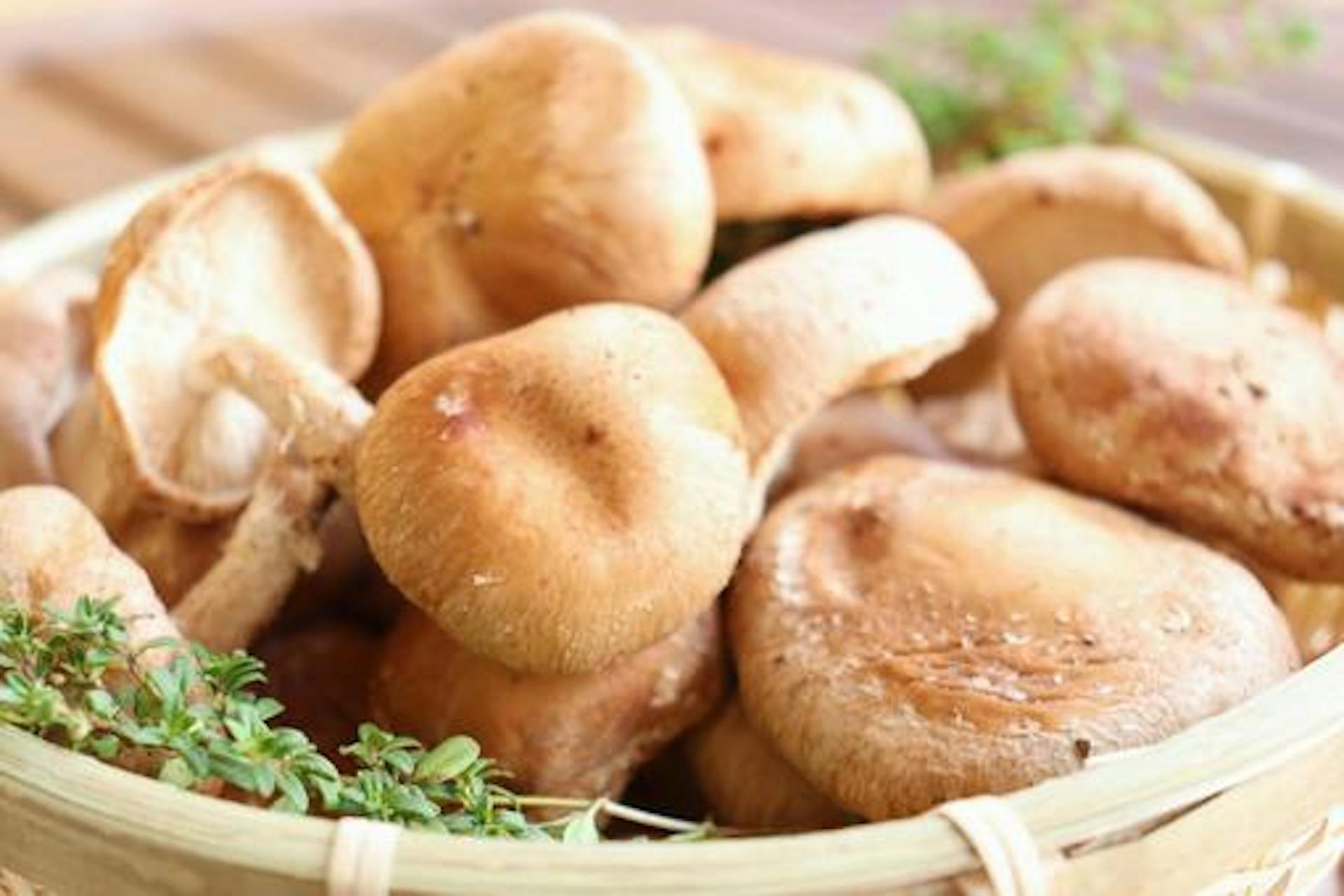 しいたけに含まれる栄養素とその作用とは？選び方や保存方法も紹介のサムネイル