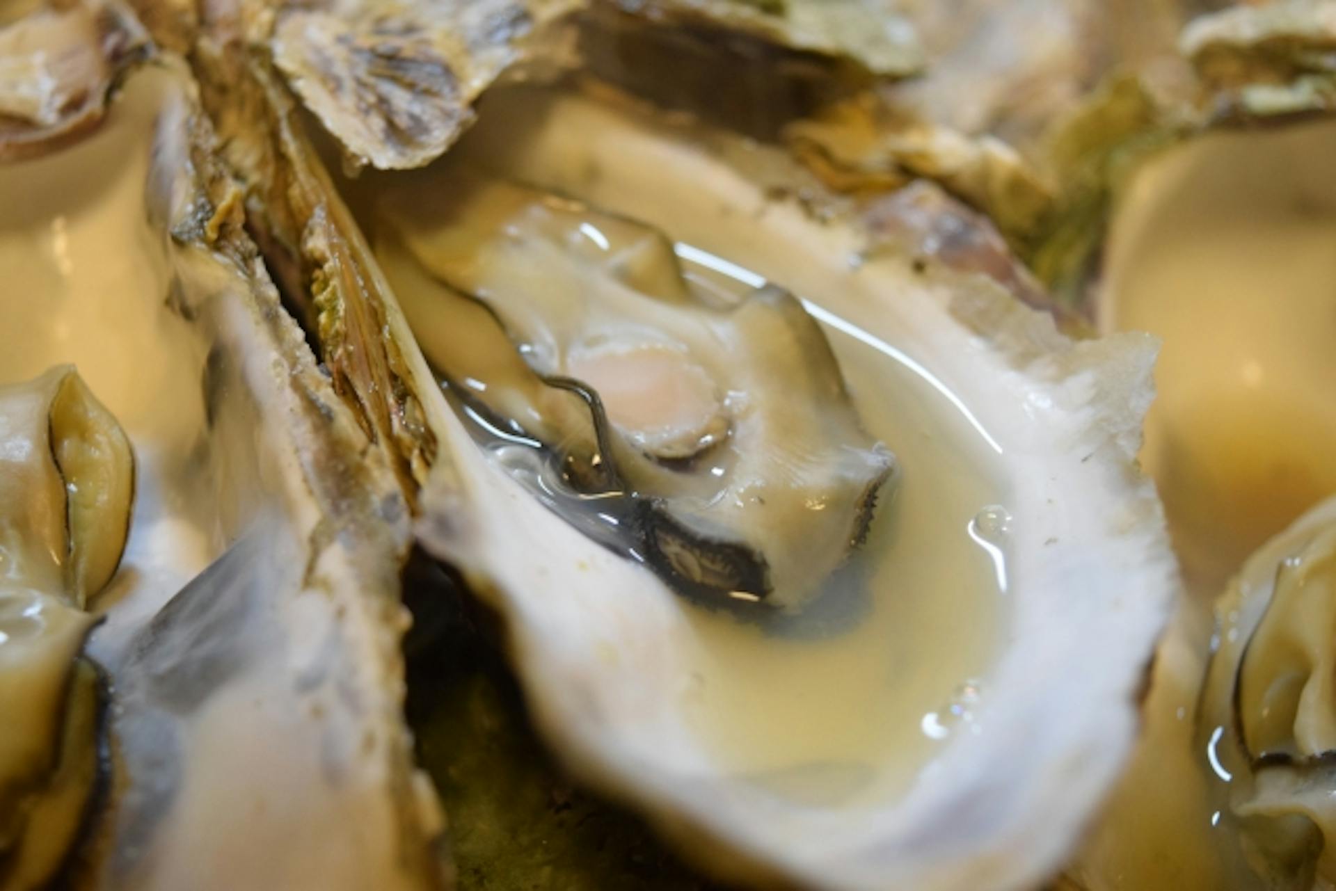 亜鉛に期待できる効果とは？摂取目安量やおすすめの食品を紹介！のサムネイル