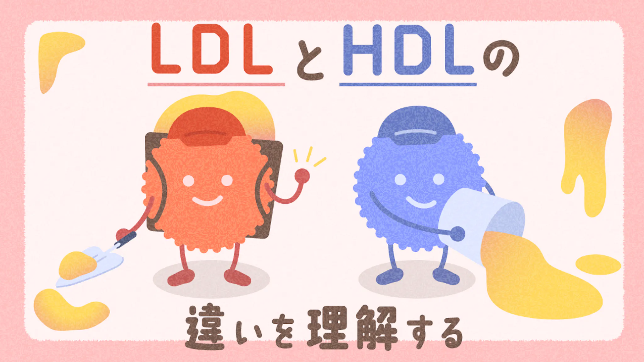 LDLコレステロールとは？HDLとの違いと体内での重要な役割を解説！のサムネイル