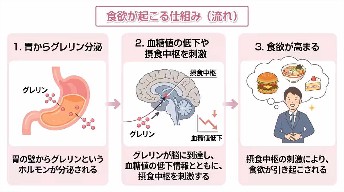 食欲が起こる流れ
