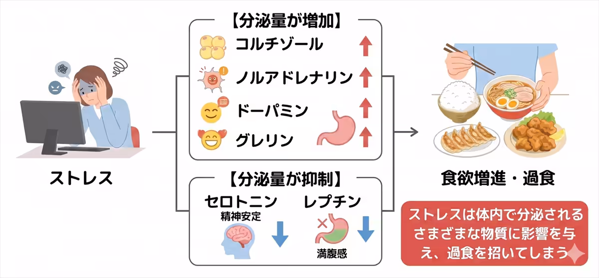ストレスで分泌される物質と過食の関係