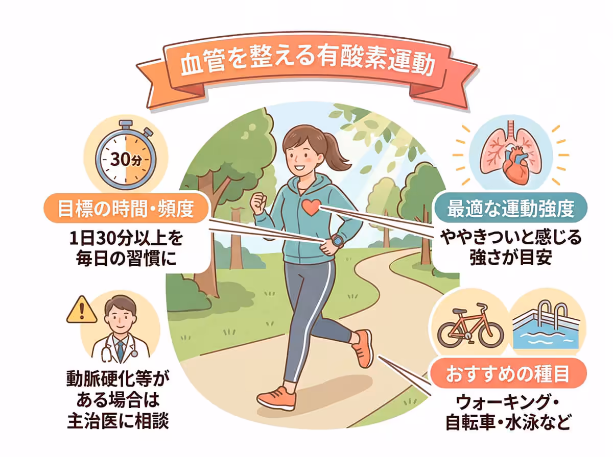 血管を整える有酸素運動
