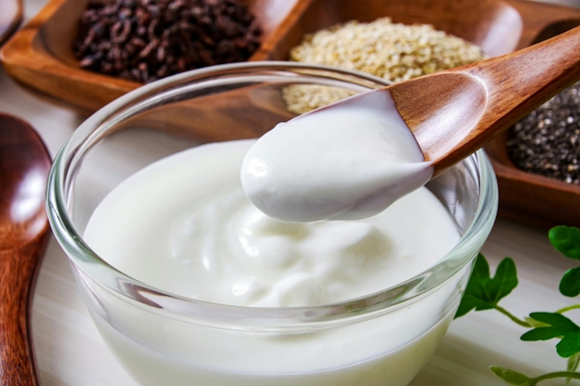 乳酸菌とは？効果や摂取源の食べ物、腸内環境改善のポイントを紹介のサムネイル