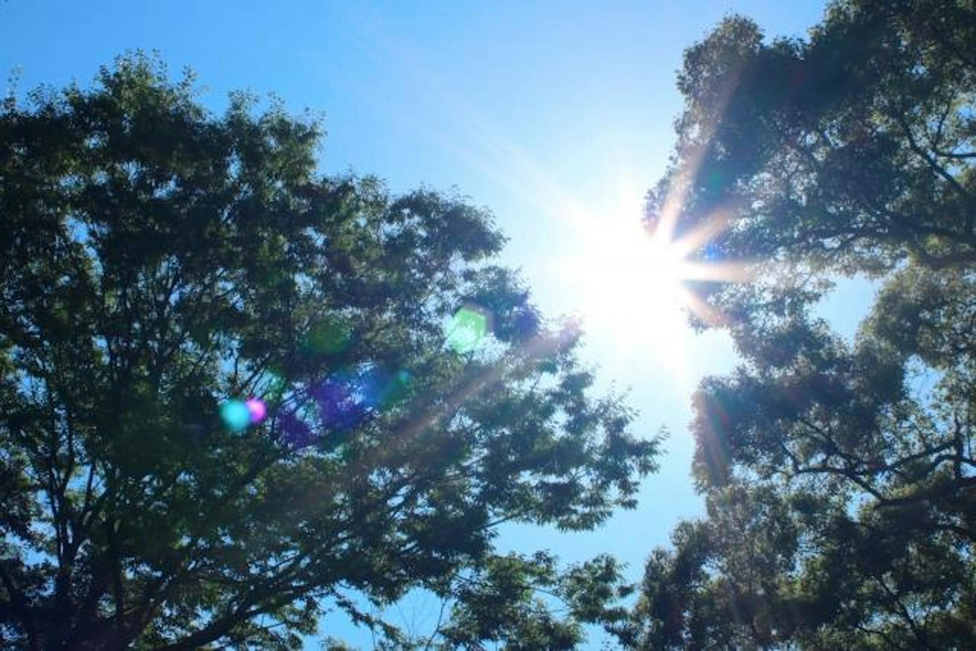 熱中症を予防して夏を乗り切ろう！原因と予防のポイントを徹底解説のサムネイル