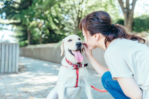 犬に話しかけている女性