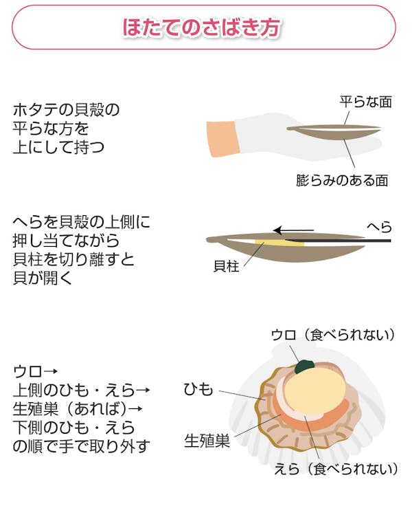 ほたてのさばき方