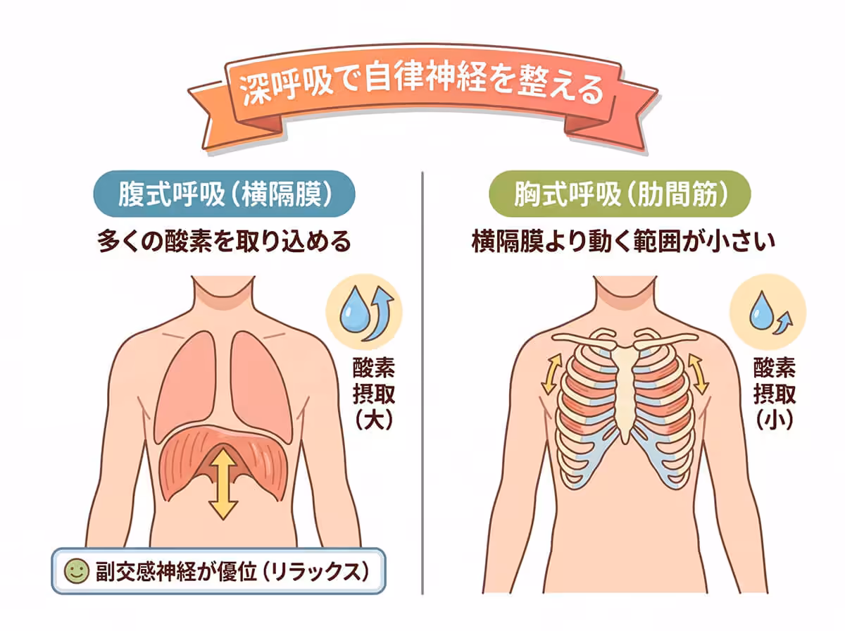 深呼吸で自律神経を整える