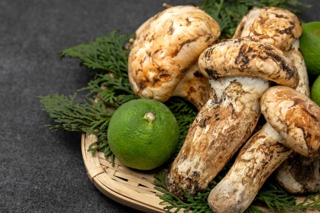 クロムとは？体内でのはたらきや摂取目安量、摂取源の食べ物を紹介のサムネイル