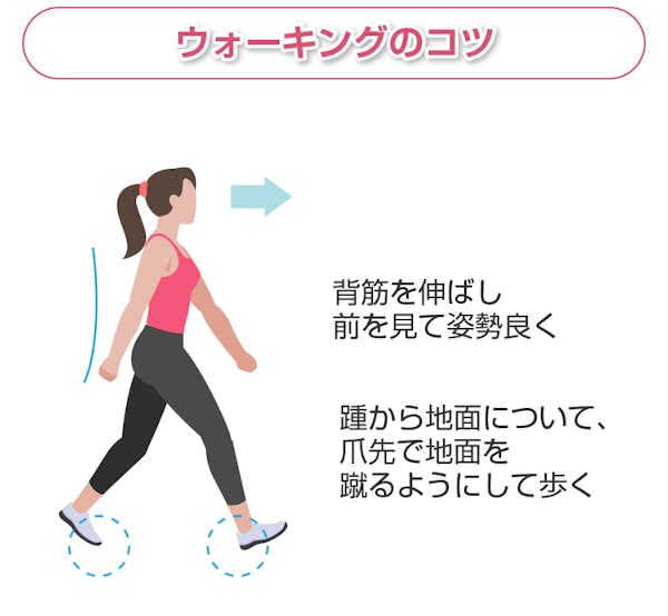 ウォーキングのコツ
