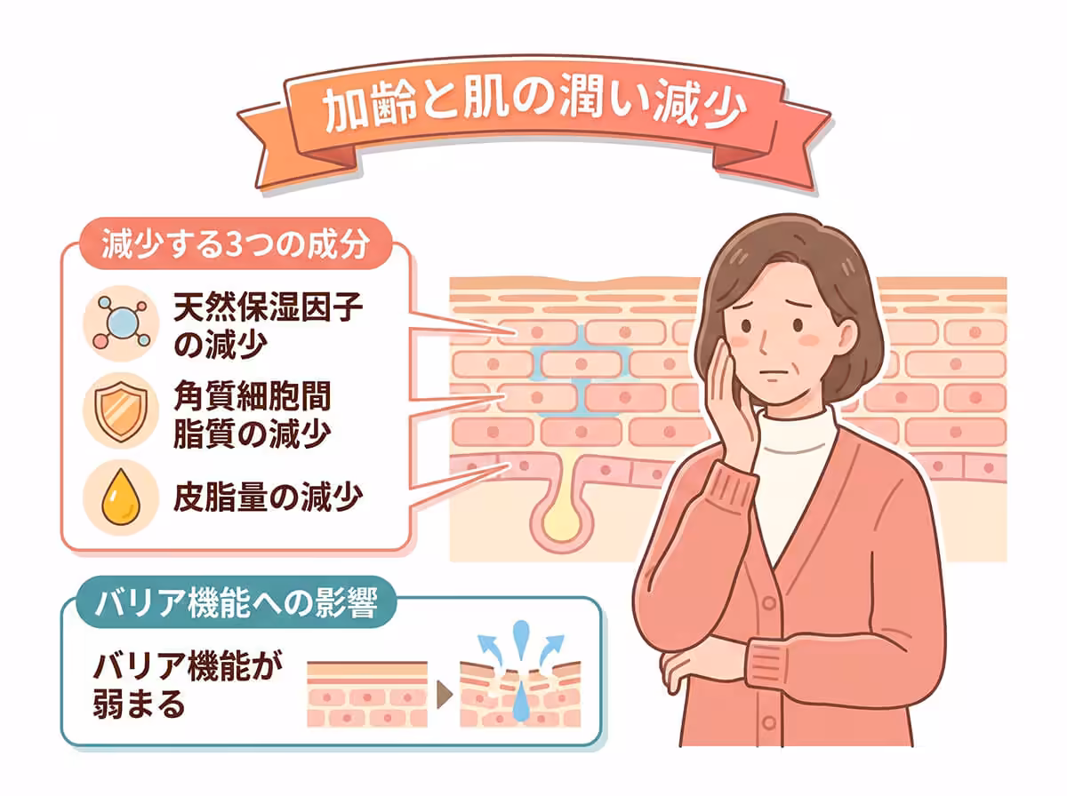 加齢と肌の潤い減少