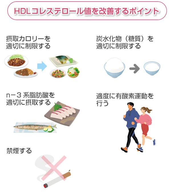 HDLコレステロール値を改善するポイント