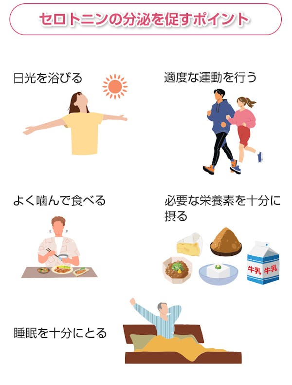 セロトニンの分泌を促すポイント