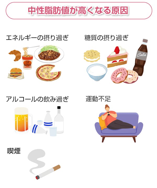 中性脂肪値が高くなる原因