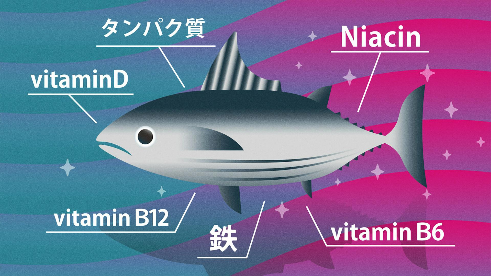 カツオに含まれる栄養素とは？選び方やおいしく食べるコツも紹介のサムネイル