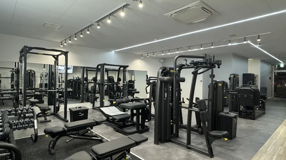 ZOELの画像の画像