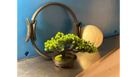 Lucio 武蔵小杉店の画像