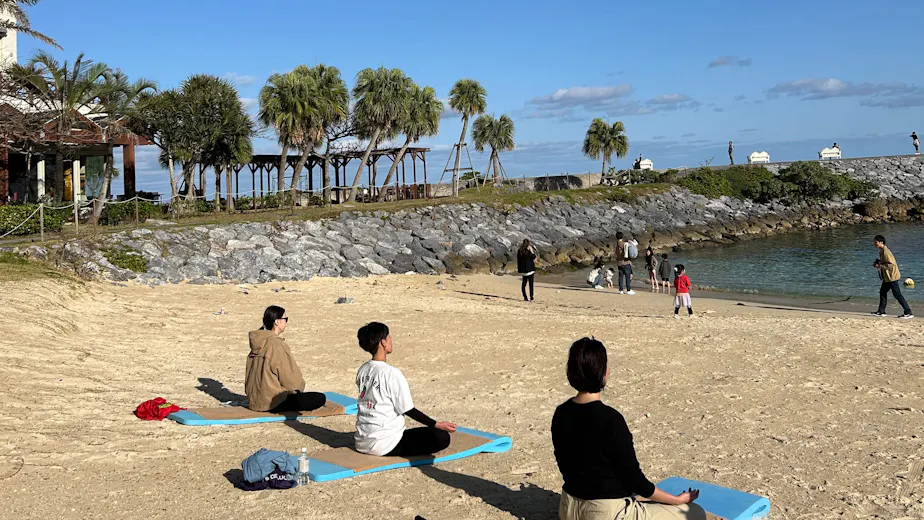 日本ヨーガ療法士協会の画像の画像