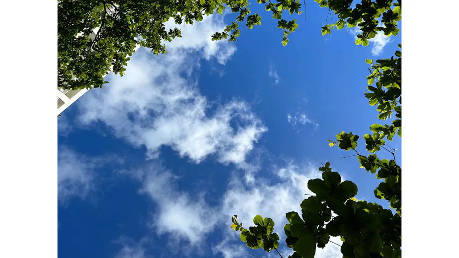 日本ヨーガ療法士協会の画像の画像