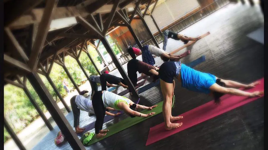 日本ヨーガ療法士協会の画像の画像