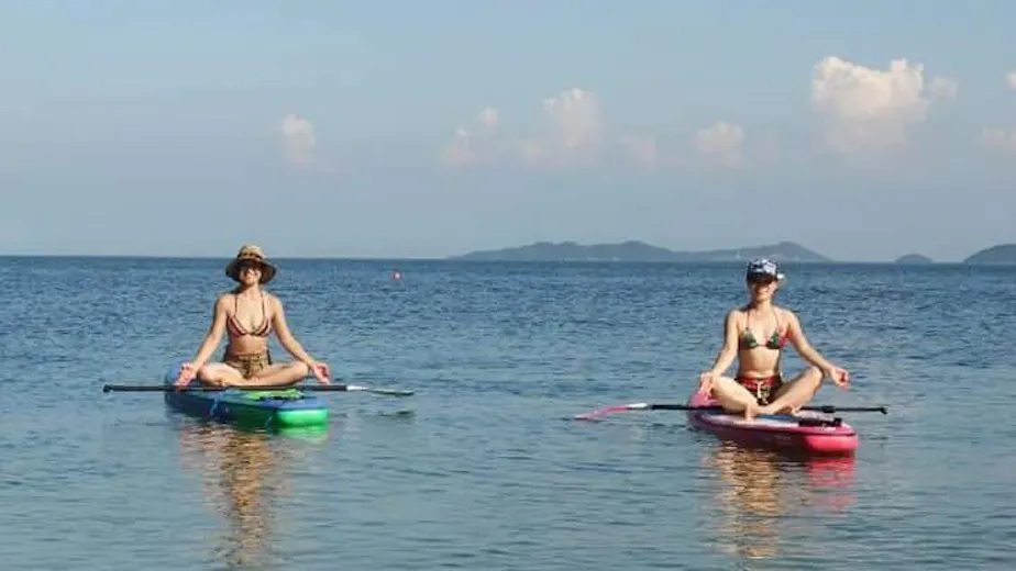 日本ヨーガ療法士協会の画像の画像