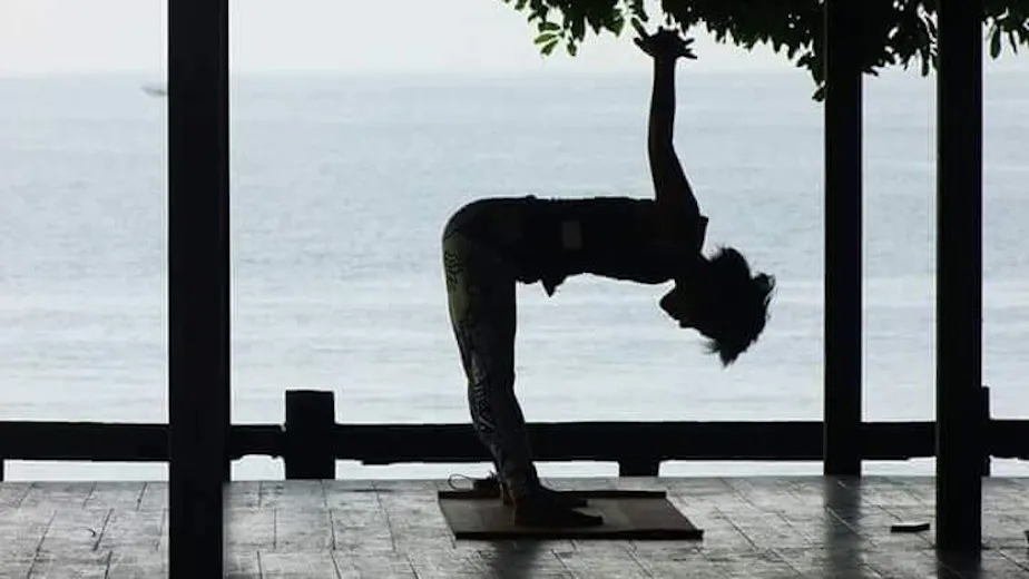 日本ヨーガ療法士協会の画像の画像