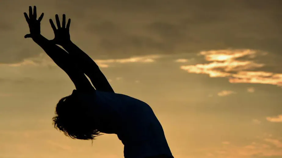 日本ヨーガ療法士協会の画像の画像