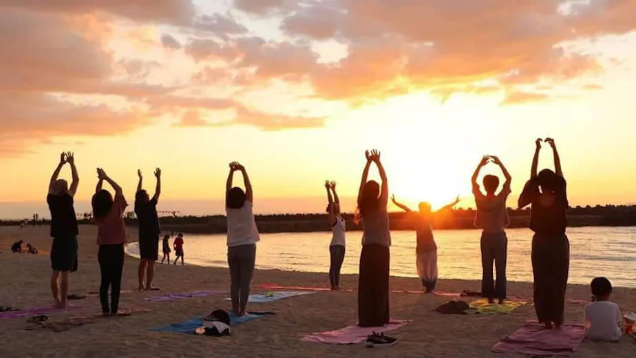 日本ヨーガ療法士協会の画像の画像